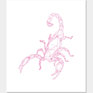 Scorpion 3D Pink Posters and Art